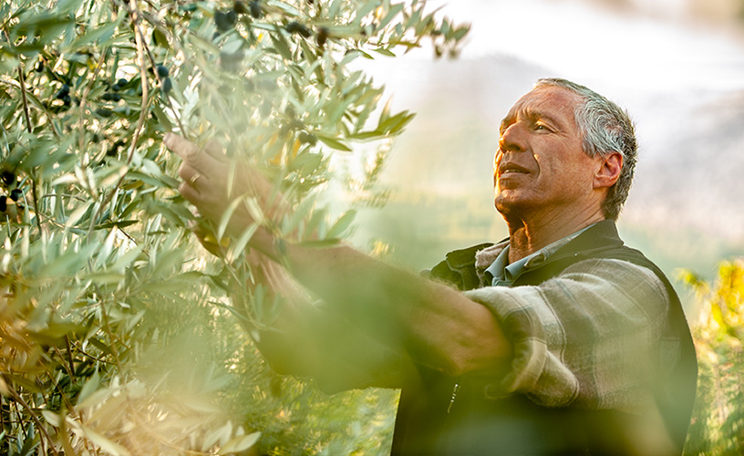 Mezzo secolo di affidabilità